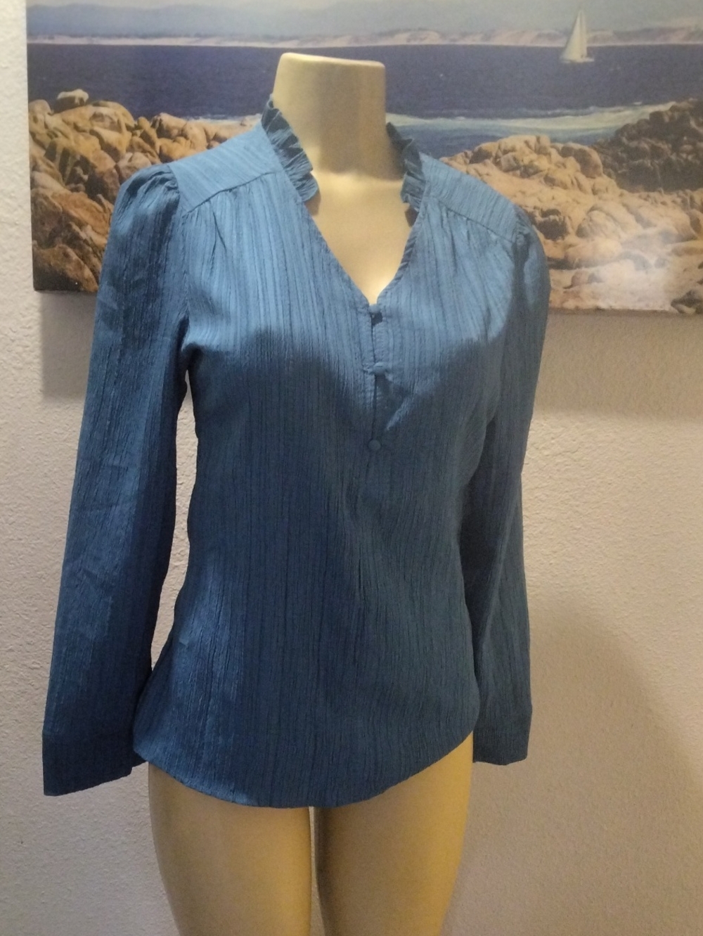 Women's Blue Long-Sleeve Ruffle V-Neck Blouse